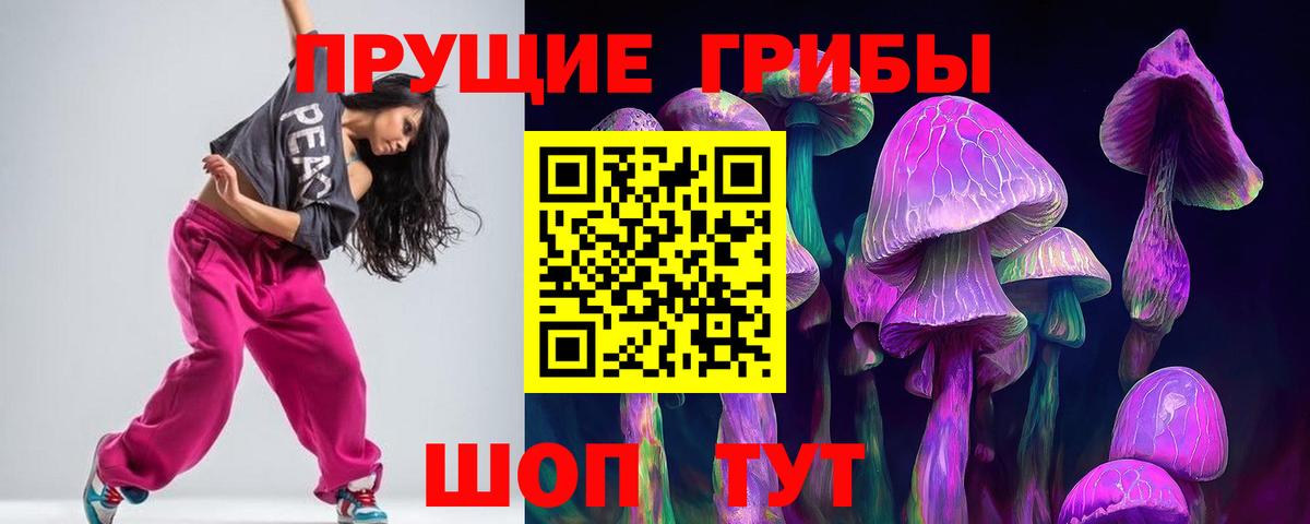 Галлюциногенные грибы Cubensis Ржев
